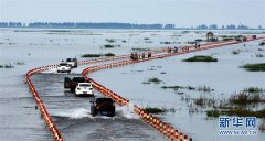 洪水漫过鄱阳湖保护区公路 车在水中行