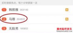 马蓉证件照曝光！网友：宋喆看了都想吐