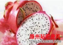 <b>吃火龙果真能减肥吗？火龙果的营养价值</b>