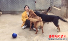 张馨予训狗惨被咬参加节目素颜出镜遇事非常冷