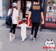 秦昊回家陪伴妻女伊能静感慨：心在爱就在