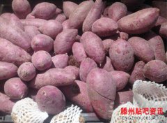 <b>老年人便秘吃什么好老人便秘吃这些就好</b>