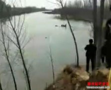 河北多人落水事件始末：6人死亡 事发地有一处“网红桥