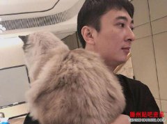 王思聪买的鸭子价值上万元