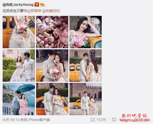 向太否认向佐结婚是怎么回事？