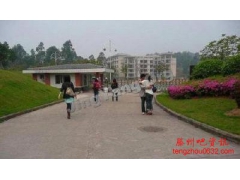 <b>校花门事件是怎么回事？校花门真相揭秘在线播放下载</b>