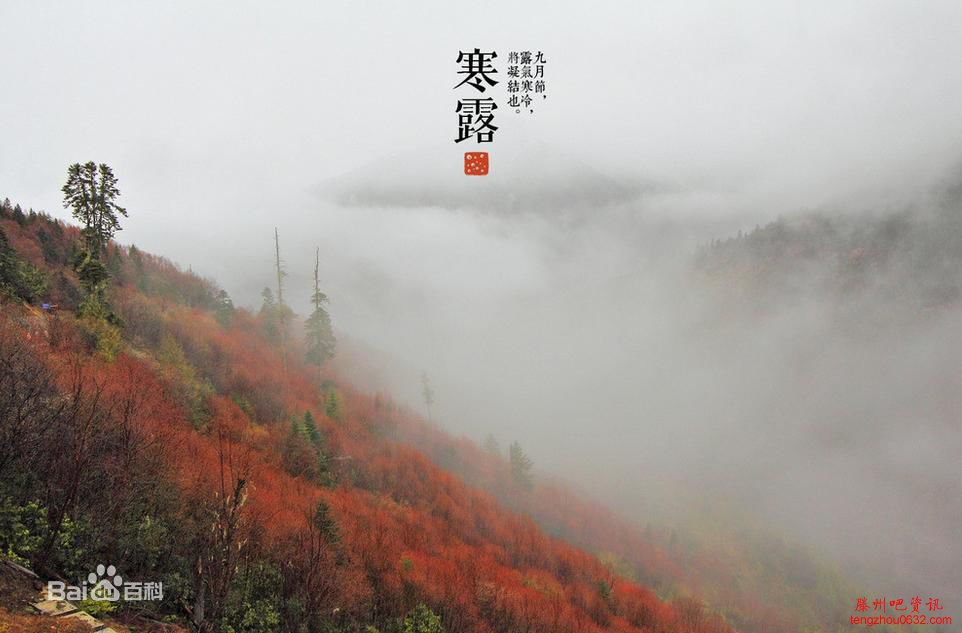 寒露节气是什么意思含义，寒露指的是什么节气