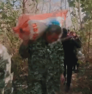 200亩萝卜被拔光怎么回事?一句谣言菜农损失40万来龙去脉