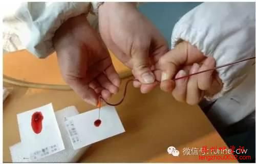 三胞胎有三个爹