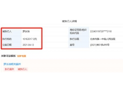 罗永浩回应再被强制执行，执行标的超千万元
