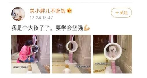 鹿晗31岁生日关晓彤没发祝福发生了什么事