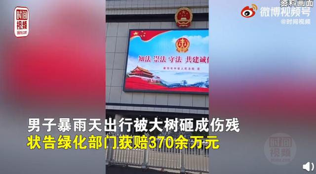 河北一男子被绿化树砸伤致残获赔370万
