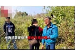 女子竟在草丛里皮肉交易30元/次，被警方当场抓获