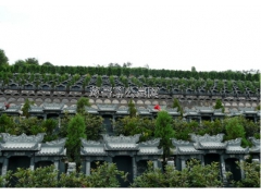 公墓只能使用20年，过期了怎么办？