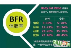 养成良好饮食习惯可以控制体脂率