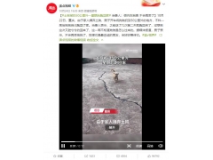 土狗被扔50公里外一星期后跑回家