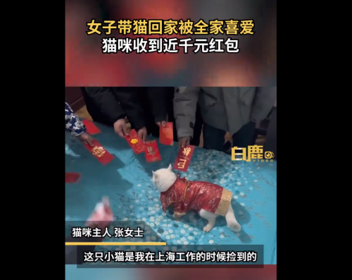 QQ截图20230128144544
