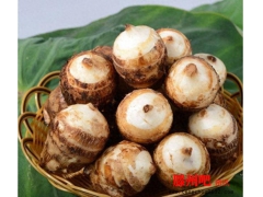 秋天，不要错过这碱性蔬菜，比土豆香比红薯营养，